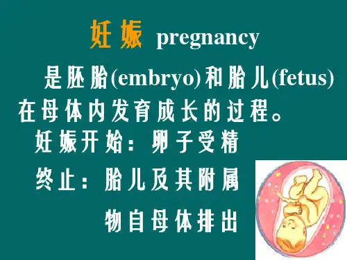 妇产科学-妊娠生理