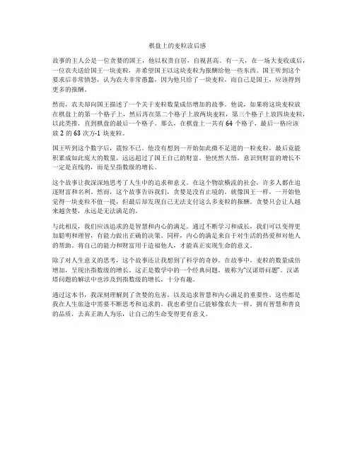 棋盘上的麦粒读后感
