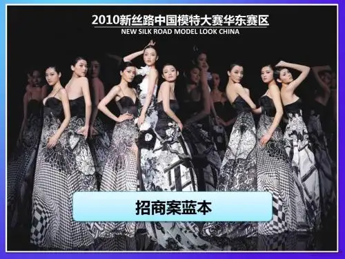 2010新丝路总案4.21