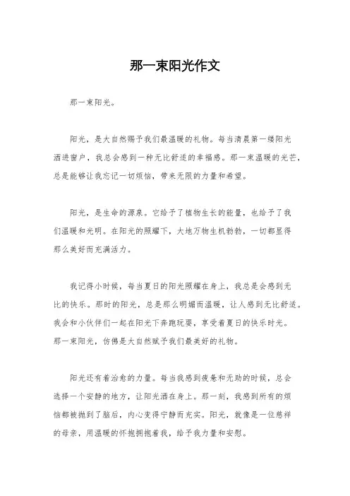 那一束阳光作文