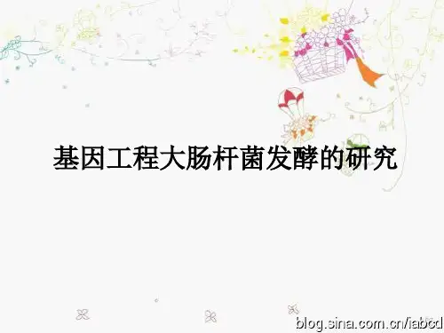 基因工程大肠杆菌发酵的研究ppt课件