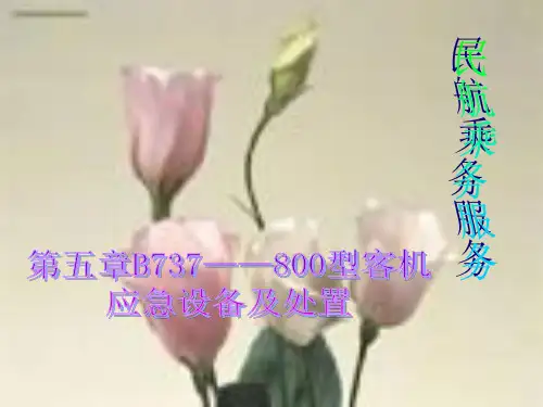 客机应急设备及处置