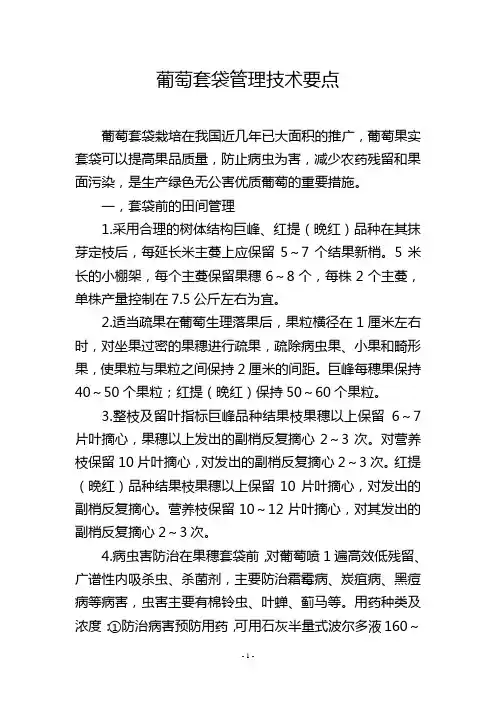 葡萄套袋管理技术要点