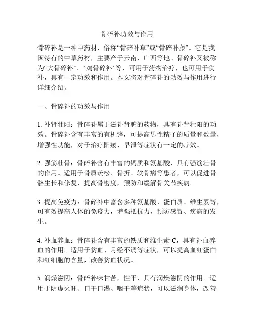 骨碎补功效与作用