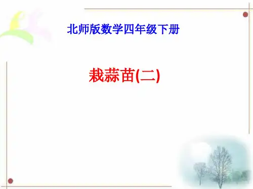 北师大版数学四年级下册 第6单元栽蒜苗(二) 课件