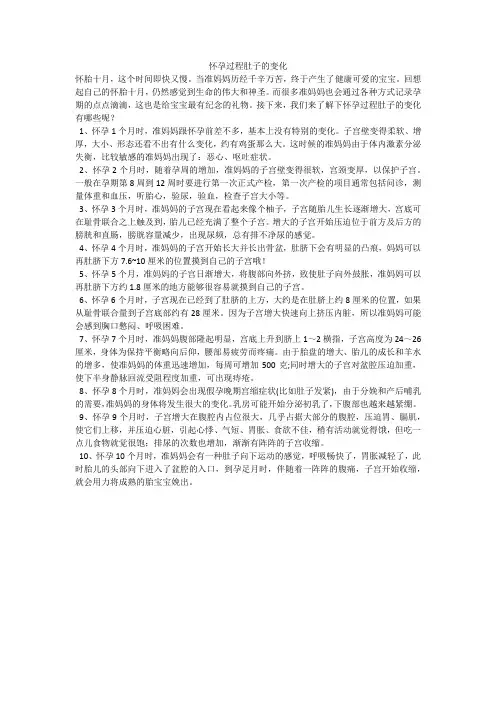 怀孕过程肚子的变化