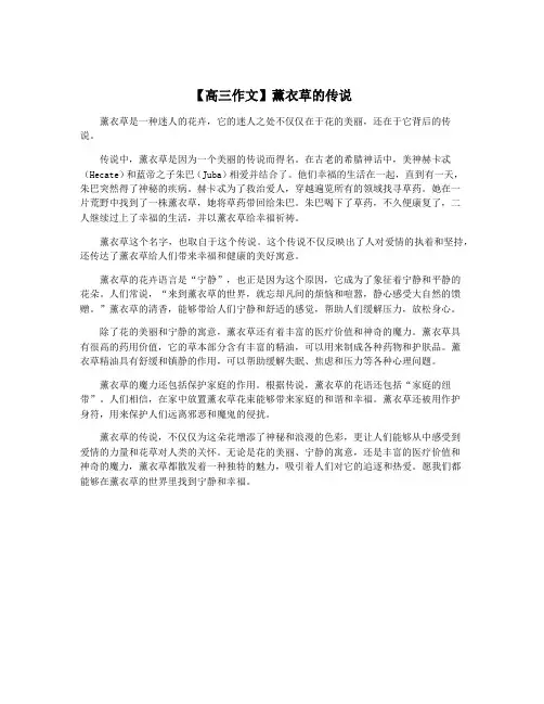 【高三作文】薰衣草的传说