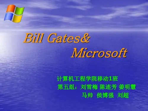 Microsoft_英文介绍
