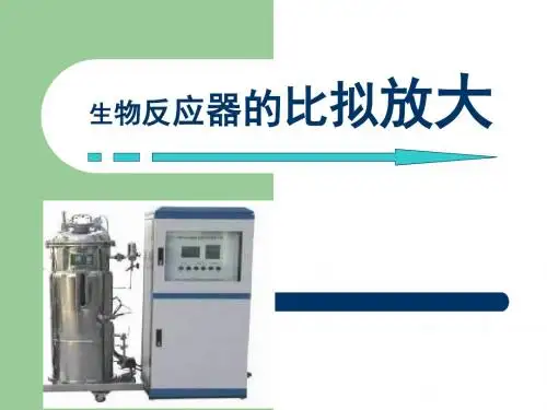 生物反应器的比拟放大讲解