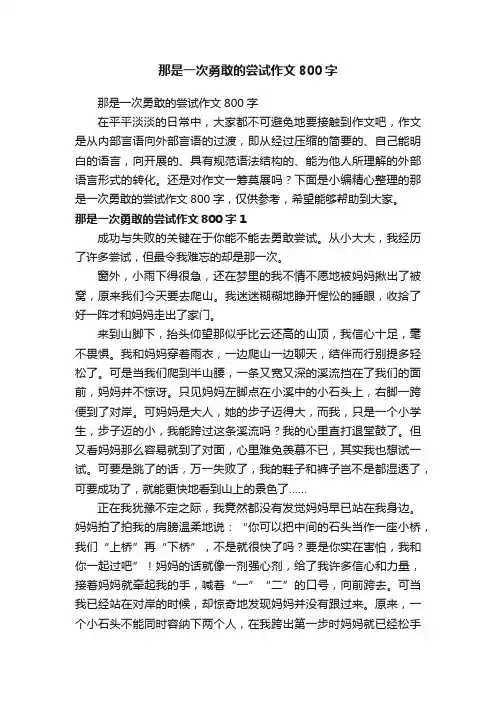 那是一次勇敢的尝试作文800字