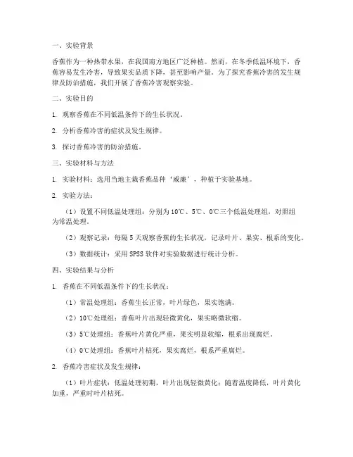 香蕉冷害观察实验报告