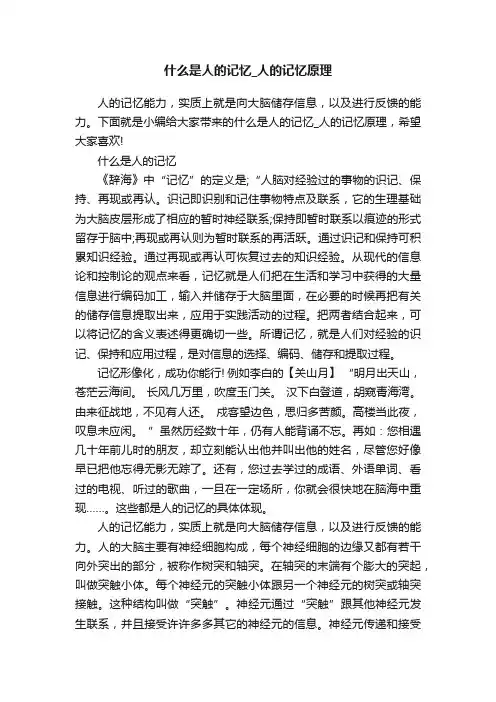 什么是人的记忆_人的记忆原理