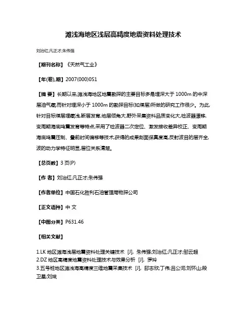 滩浅海地区浅层高精度地震资料处理技术