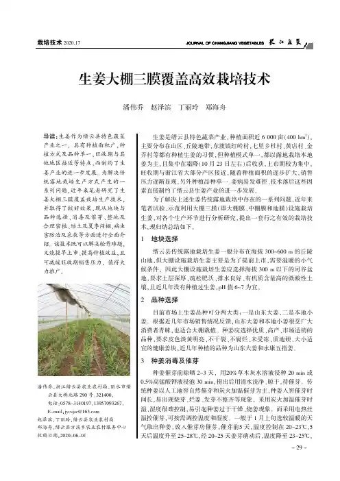 生姜大棚三膜覆盖高效栽培技术