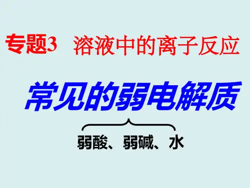 常见弱电解质 (12张)