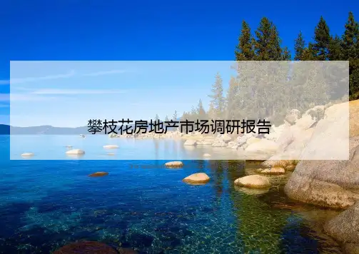 攀枝花房地产市场调研报告