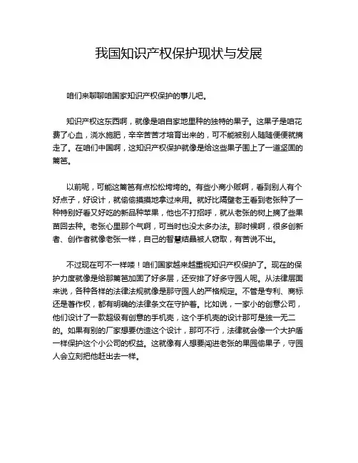 我国知识产权保护现状与发展