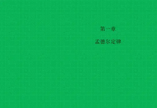 分离定律(课件)