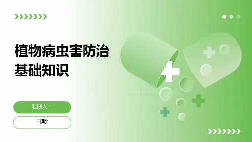 植物病虫害防治基础知识