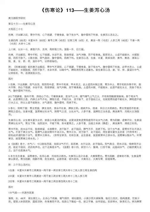 《伤寒论》113——生姜泻心汤