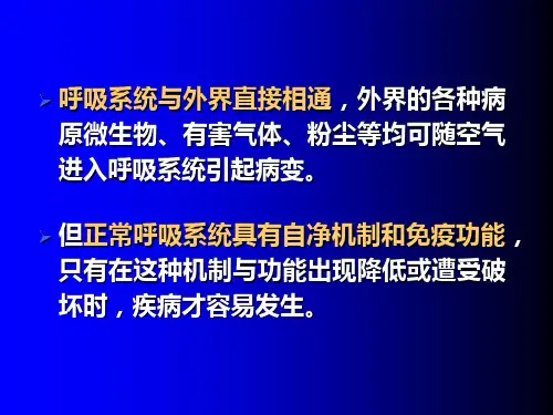 病理学呼吸大纲演示PPT