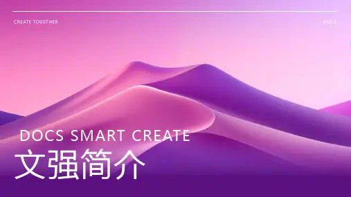文强简介资料