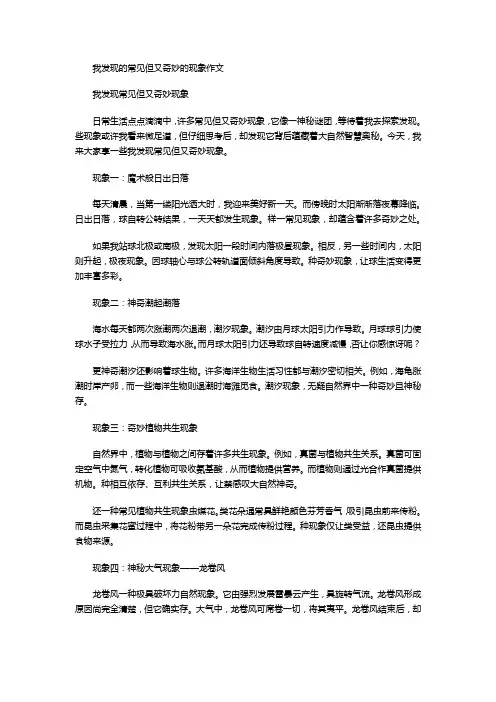 我发现的常见但又奇妙的现象作文