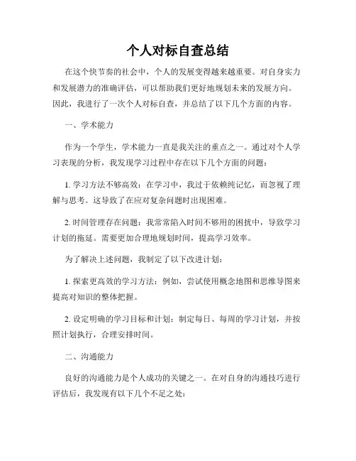 个人对标自查总结