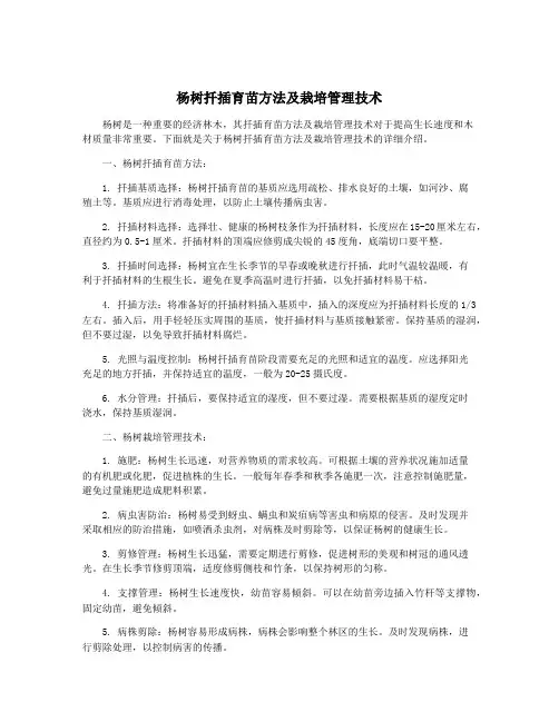 杨树扦插育苗方法及栽培管理技术