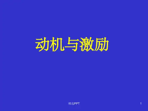 《动机与激励》PPT课件