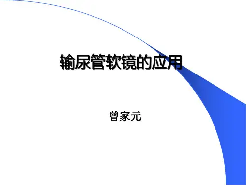 输尿管软镜ppt课件