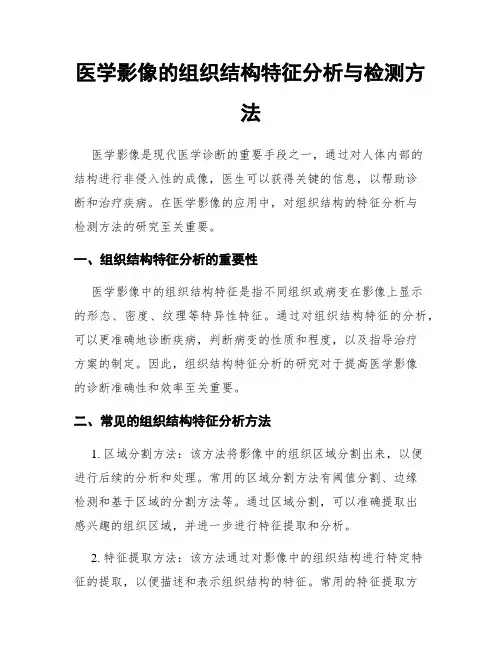 医学影像的组织结构特征分析与检测方法