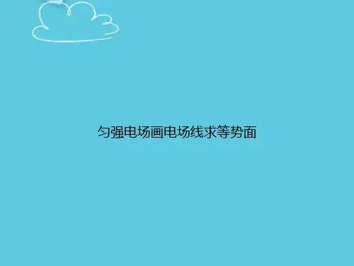 匀强电场画电场线求等势面精选PPT