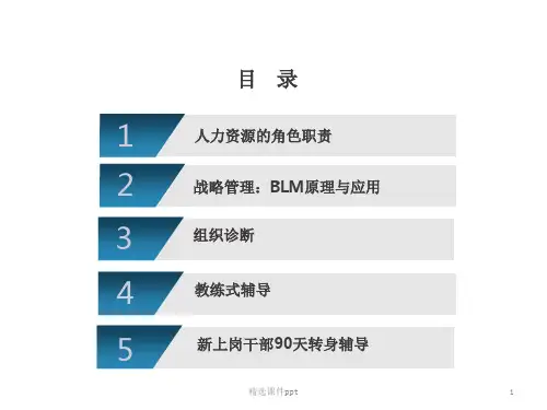 HW三支柱运作之HRBP实践分享ppt课件