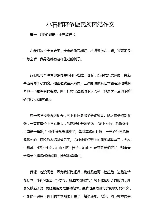 小石榴籽争做民族团结作文