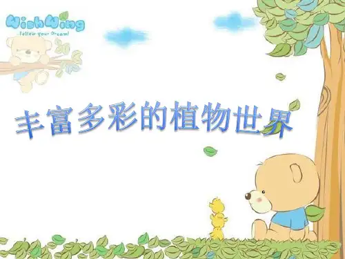 丰富多彩的植物世界