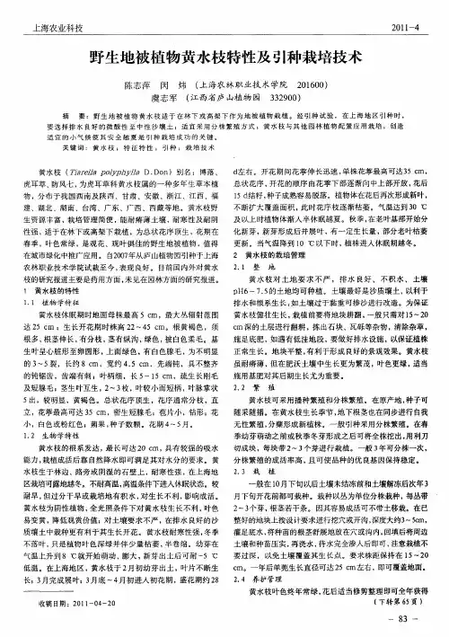 野生地被植物黄水枝特性及引种栽培技术