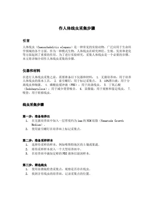 作人体线虫釆集步骤