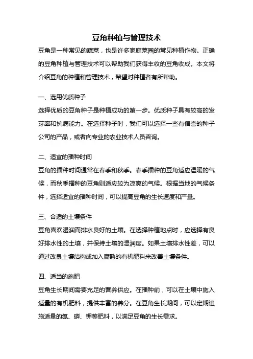 豆角种植与管理技术