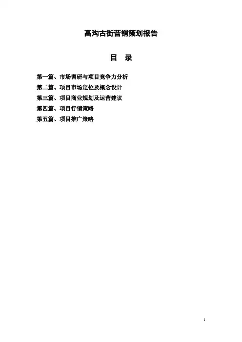 高沟仿古商业步行街营销策划报告