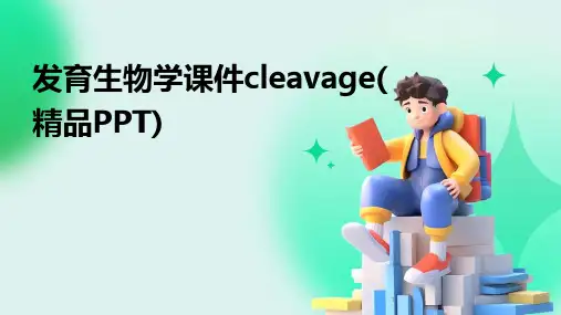 2024年度-发育生物学课件cleavage(精品PPT)
