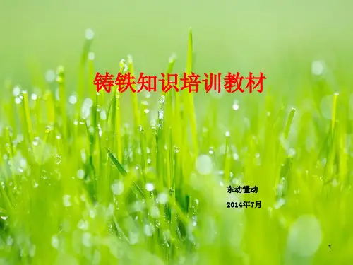 铸铁知识