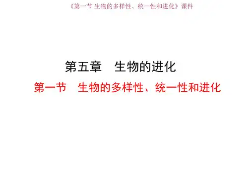 浙科版高中生物必修2课件 第一节 生物的多样性、统一性和进化课件
