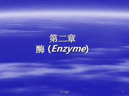 生物化学---酶催化作用的特点