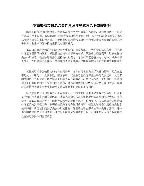 低温胁迫对白及光合作用及叶绿素荧光参数的影响