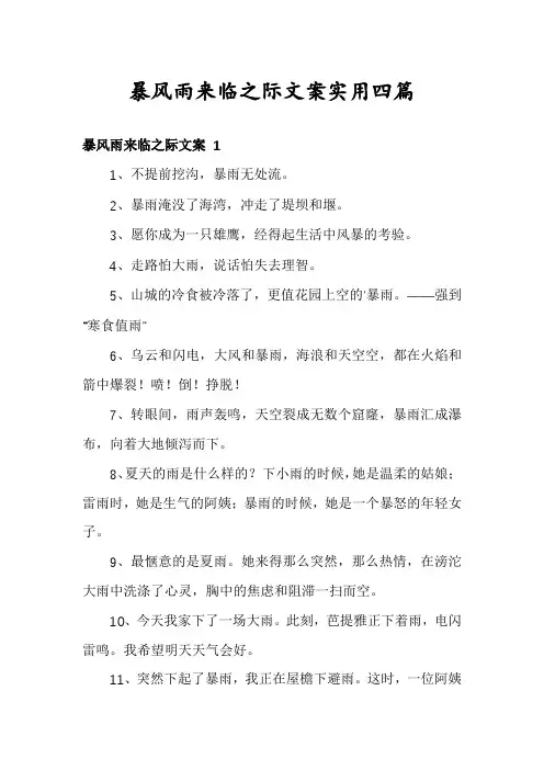 暴风雨来临之际文案实用四篇
