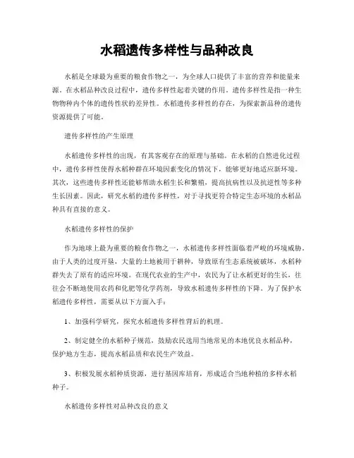 水稻遗传多样性与品种改良