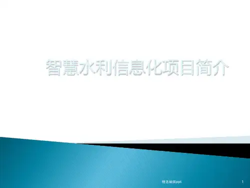 智慧水利信息化项目ppt课件