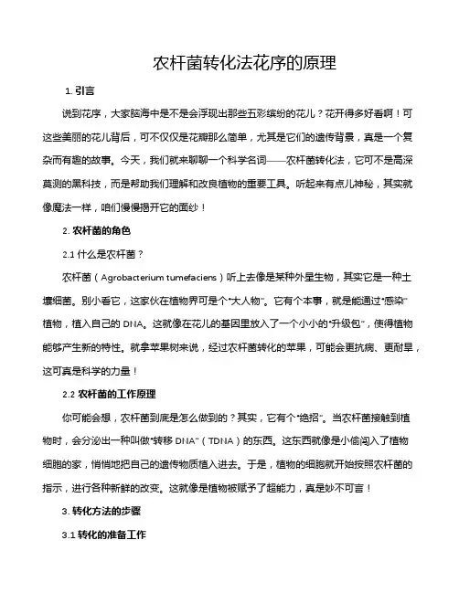 农杆菌转化法花序的原理