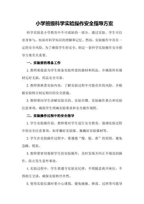 小学班级科学实验操作安全指导方案